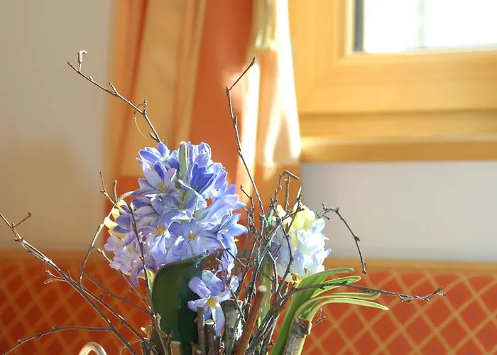 Braeuwirt 3* Kirchberg in Tirol