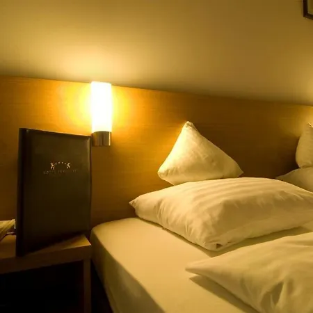 فندق Braeuwirt 4*
